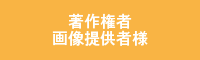 提供者様の画像ダウンロード