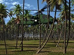 軍事（ミリタリー）画像 - 空（戦闘機）17